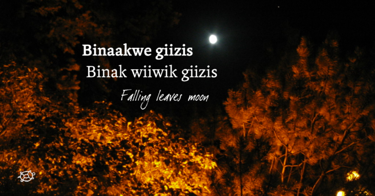 The Lunar Calendar Explained Pimachiowin Aki The Lunar Calendar Explained Pimachiowin Aki